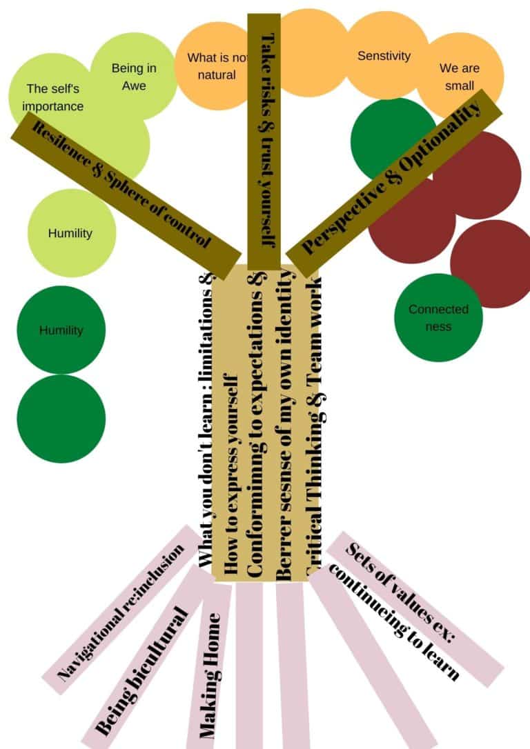 Sample Digital Knowledge Tree